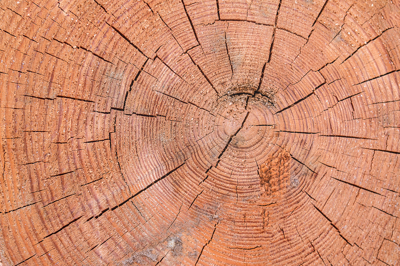 Natural abstract patterns of tree growth rings in wood boards on an old  temple Stock Photo - Alamy